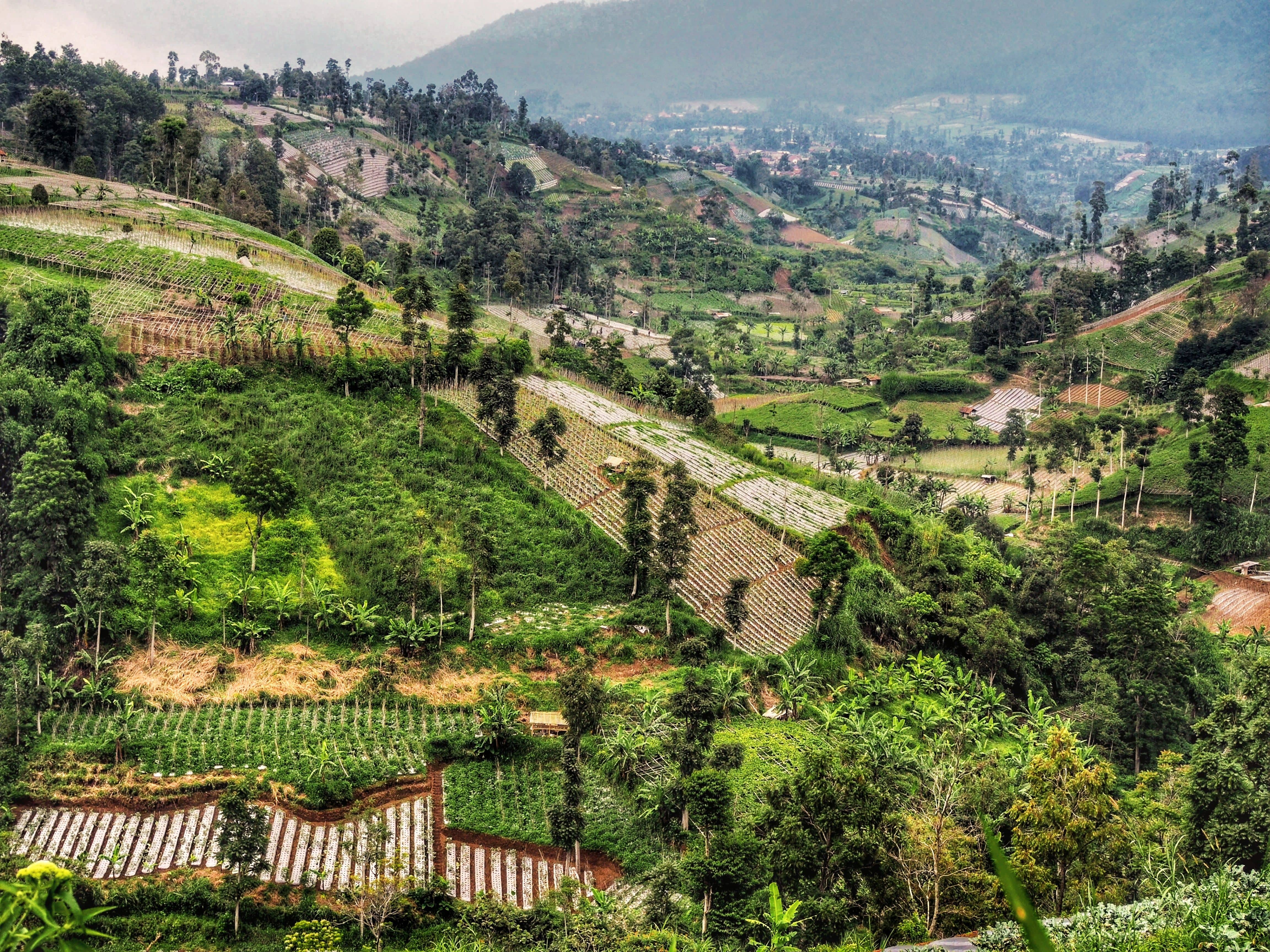 Lembang Explorer (Utara)